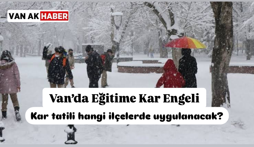 Van’ın hangi ilçelerinde kar tatili uygulanacak? 